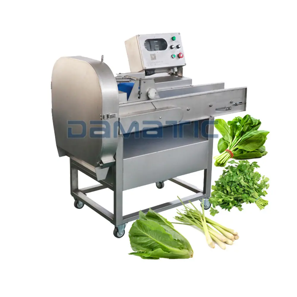 CHD 200 Wide Conveyor Belt Vegetable Spinach Chara Parsley Cutter Machine