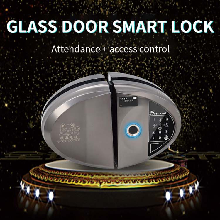 Bluetooth Keyless сенсорный пароль умный стеклянный дверной замок отпечаток пальца цифровой замок 2020