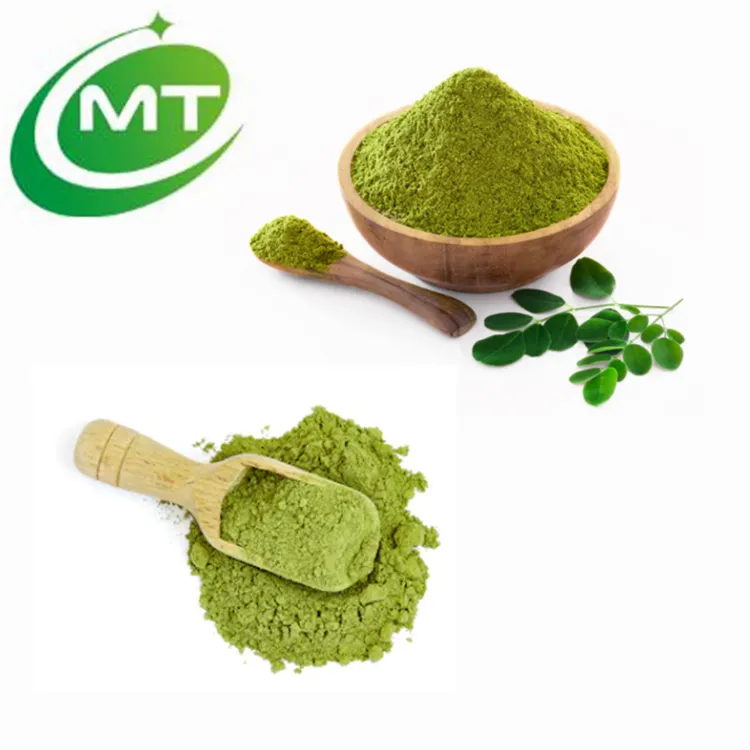 Organic High Pure Water Soluble Moringa Oleifera Powder Moringa Powder/Moringa Leaf Extract Powder for Superfood