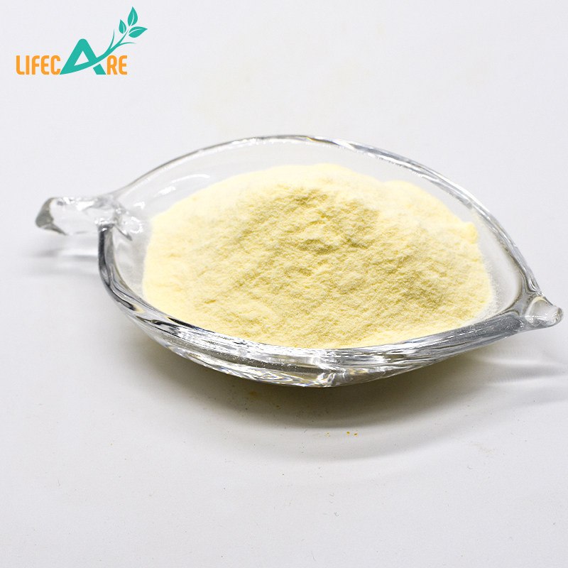 Professional Supply Freeze-dried Probiotics Powder Lactobacillus Plantarum Powder Cheap Price
