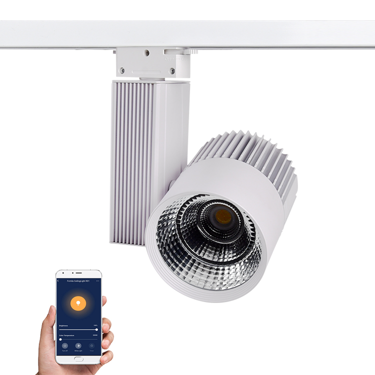 Tuya WIFI умный пульт дистанционного управления CCT регулируемый Диммируемый COB 20 Вт 30 Вт 40 Вт Светодиодный светильник