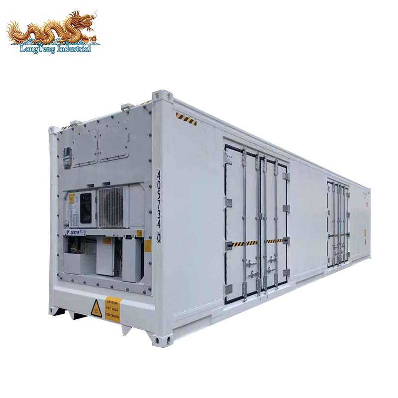 Thermo King Refrigerator Freezer Cold Storage Room 40ft Reefer Container with Side Door
