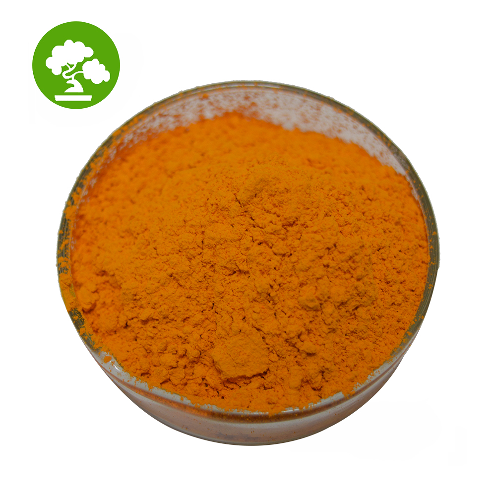 Weight Loss Water Soluble Curcumin 95% Turmeric Extract