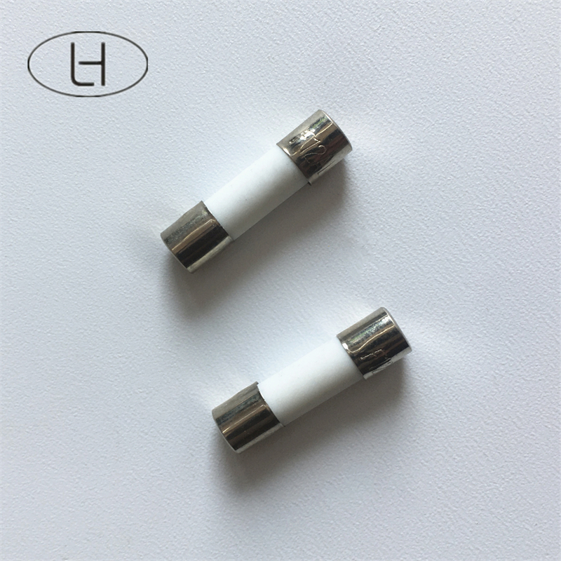 China factory Microwave oven parts glass fuse 5*20mm 12v