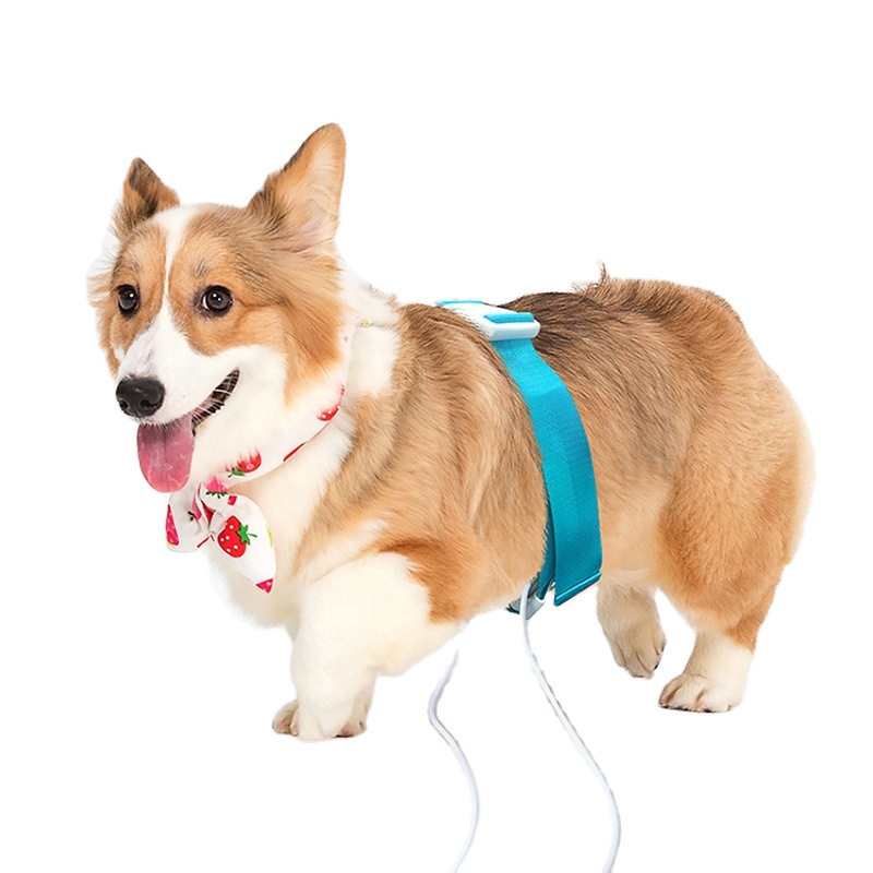 Pet Hospital Dog Cat Horse Health Diagnostic Animal body nutrition analysis