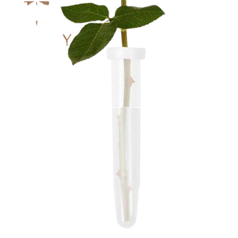 White floral flower water tube