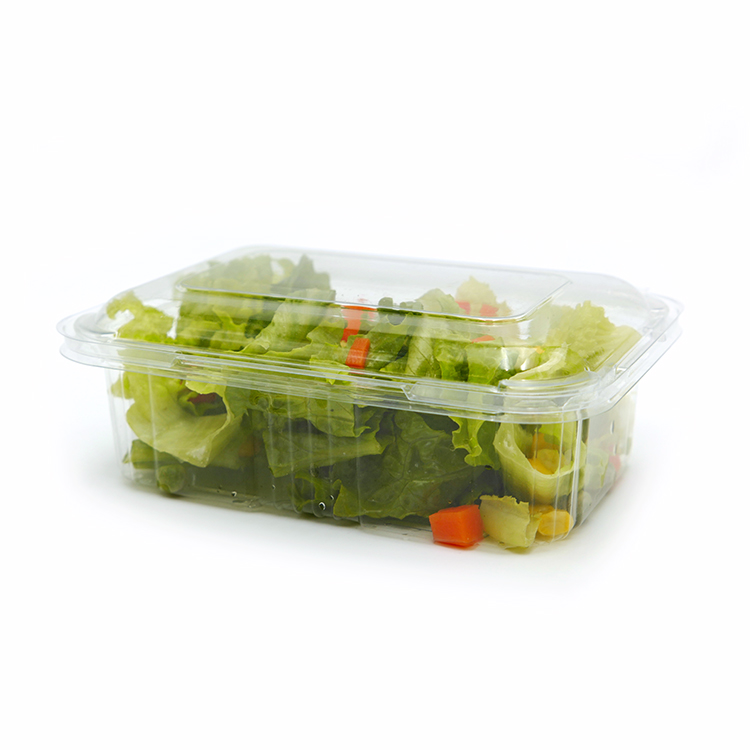 Rectangular food clamshell blister packaging fruit lettuce salad clam shell plastic container
