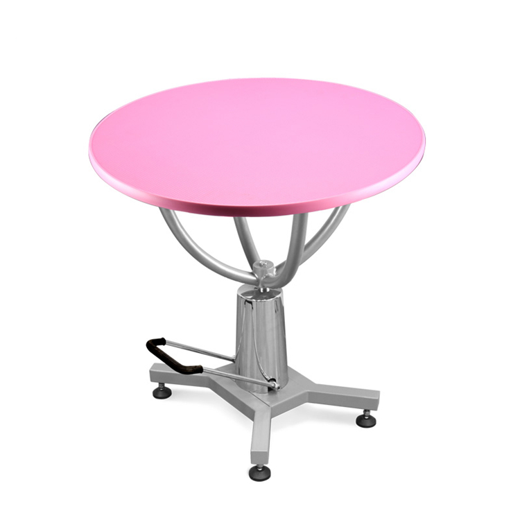 Factory Price Electric Pet Dog Grooming Table With Wheels Professional Dog Grooming Table Pet for Pet Shop
