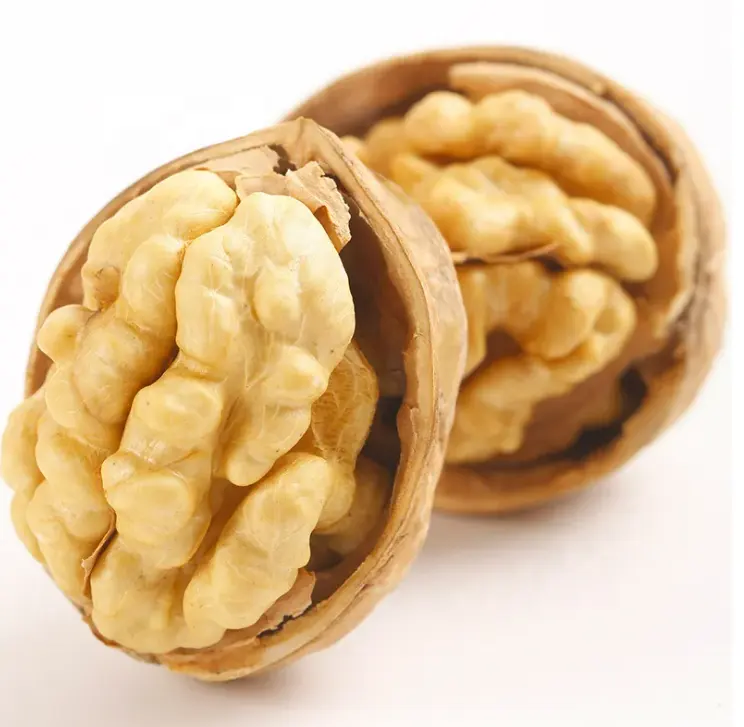 Leading sales and high quality Yunnan Chinese Walnut In Shell