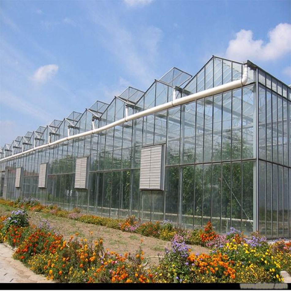 5mm Tempered glass high end agricultural crops and vegetables greenhouse