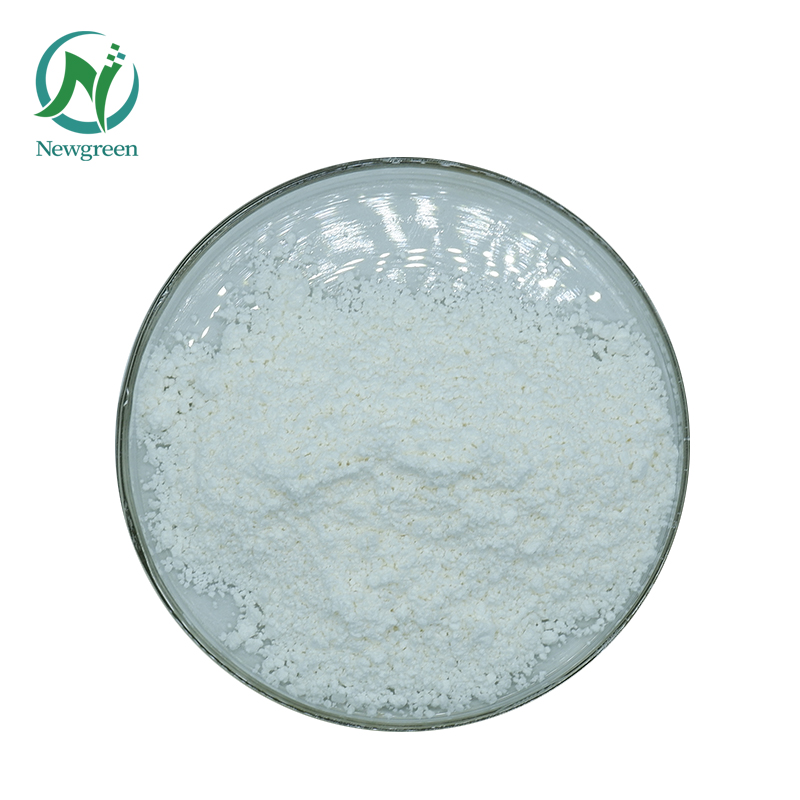 High Quality Probiotics Powder Bifidobacterium bifidum