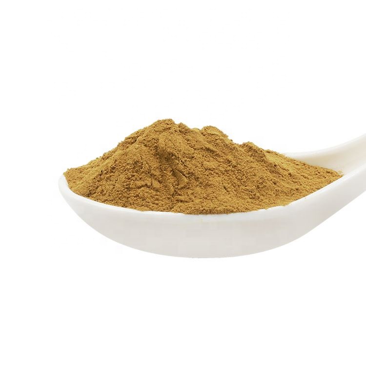 Factory Supply 8% Flavonols Cassia Nomame Extract