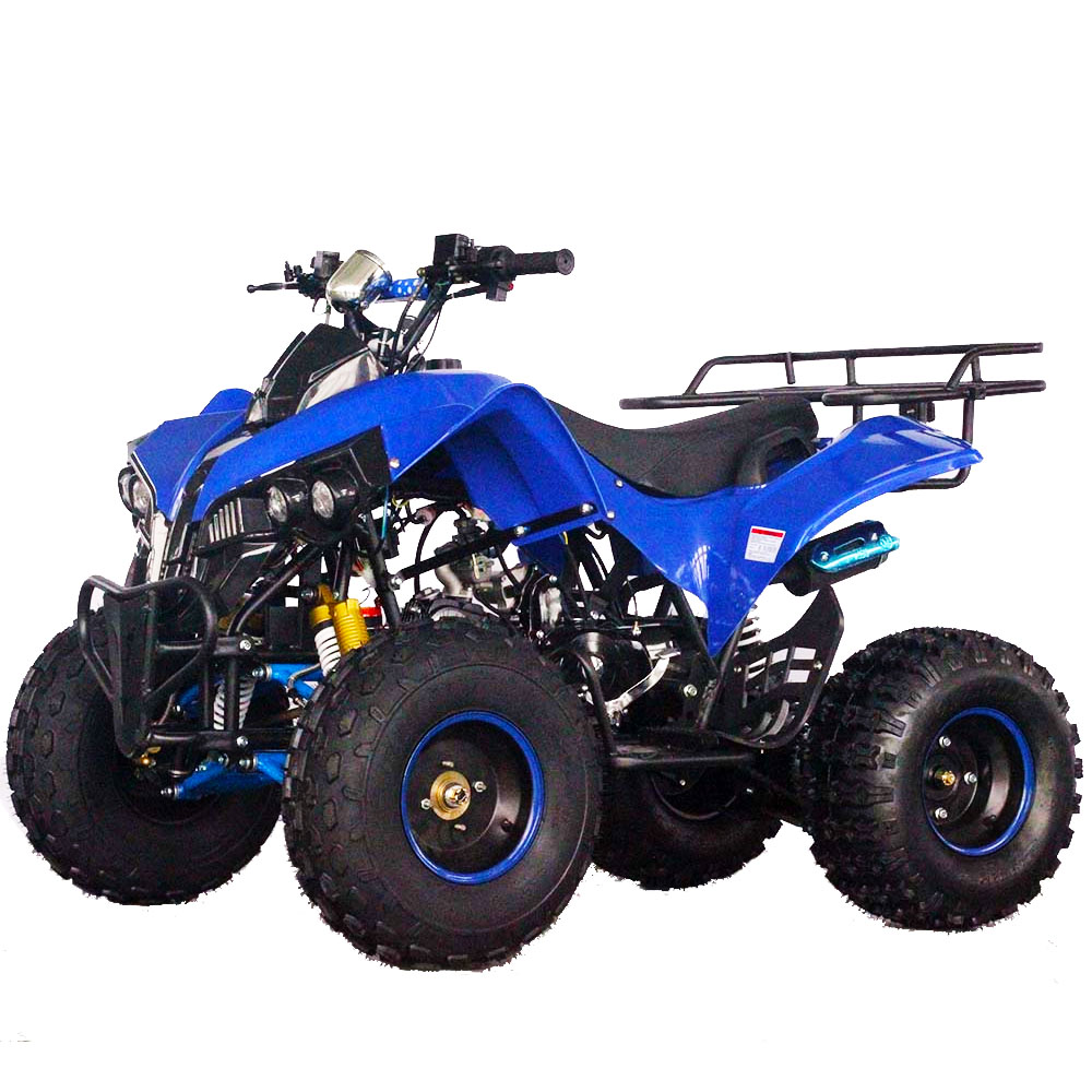 Loncin 110CC газовый квадроцикл ATV 125CC с сертификатом CE