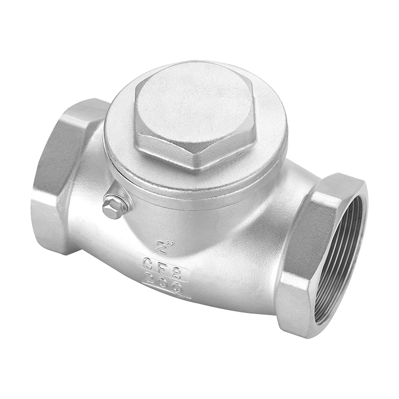 2021 хорошее качество винтовой Конец BSPT NPT CF8/CF8M промышленный клапан, сделано в Китае, поворотный обратный клапан