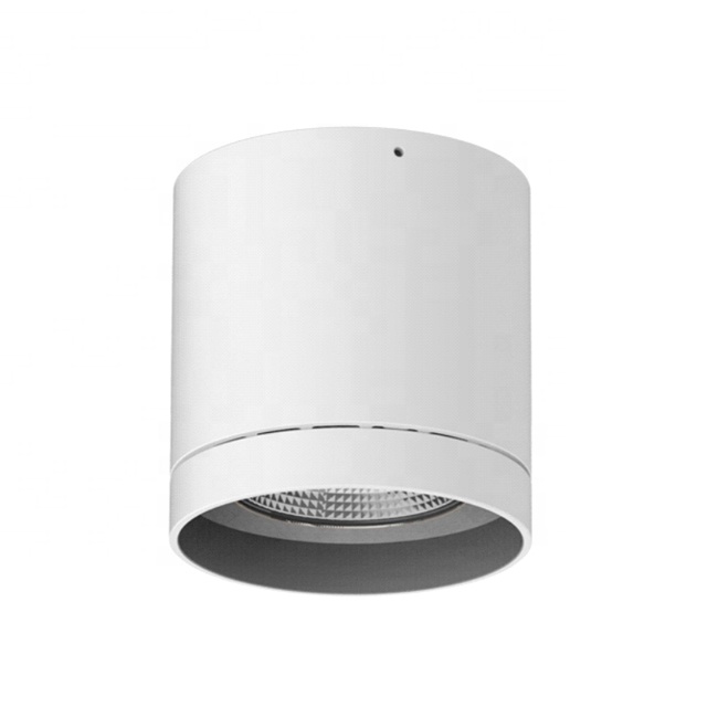30-40W IP65 Outdoor Ceiling Surface Mounted LED Down Light