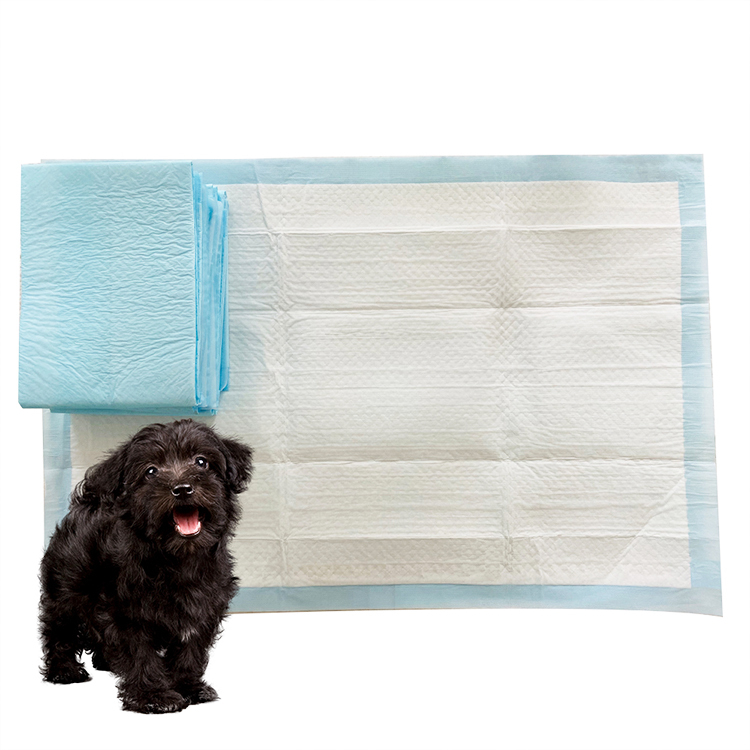 Disposable Thick Pet PadPet Training Pad Pet Urine Pad Porous Film Pads