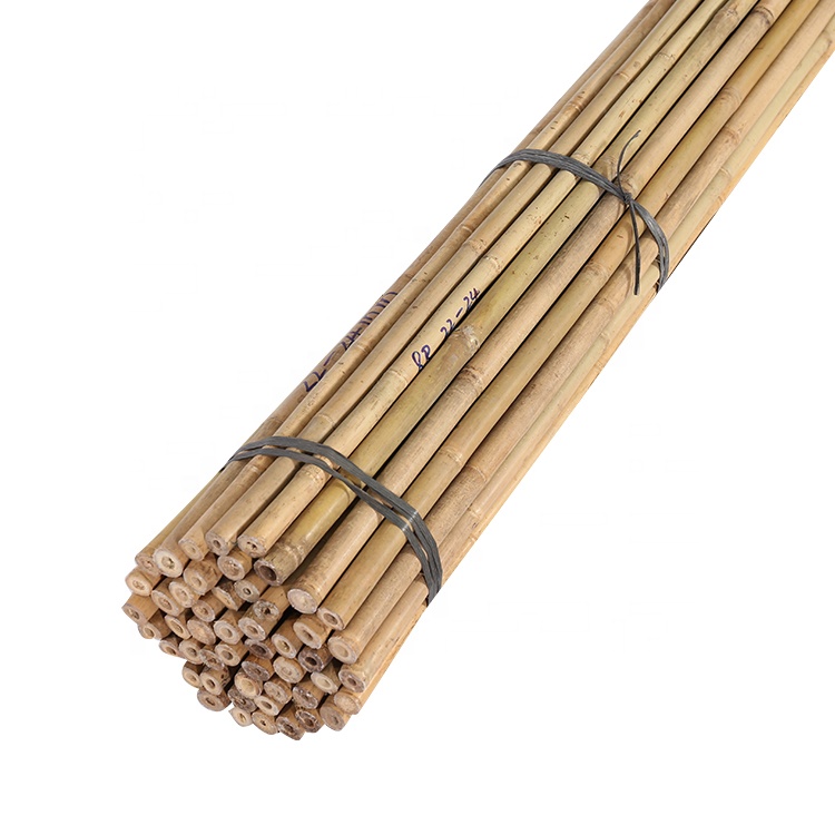 cheap bamboo pole 22-24mm x 300cm for plant support