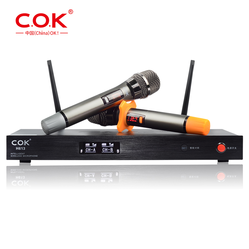 Высококачественный профессиональный беспроводной микрофон UHF, двухканальный ручной профессиональный беспроводной микрофон Echo