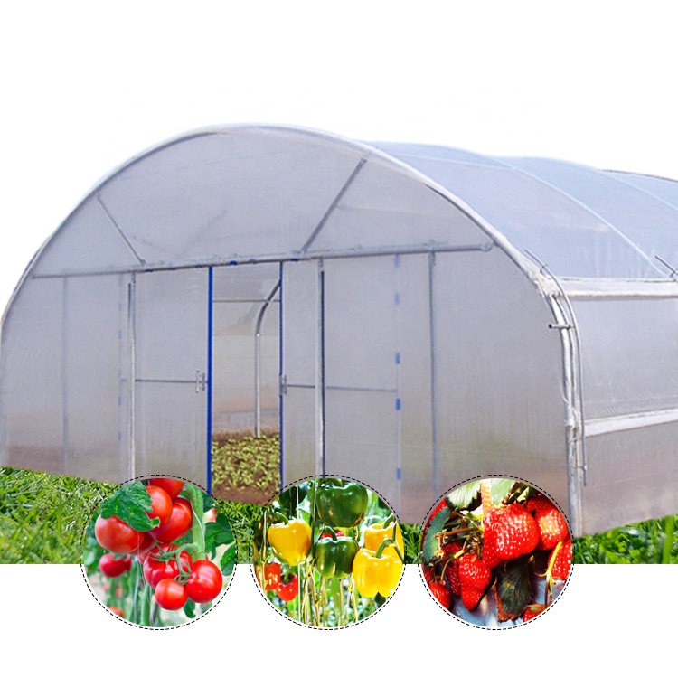 Low Cost Tunnel Greenhouse Galvanized Steel Frame Single Span Pe Film Greenhouse For Agriculture Flowers Plant