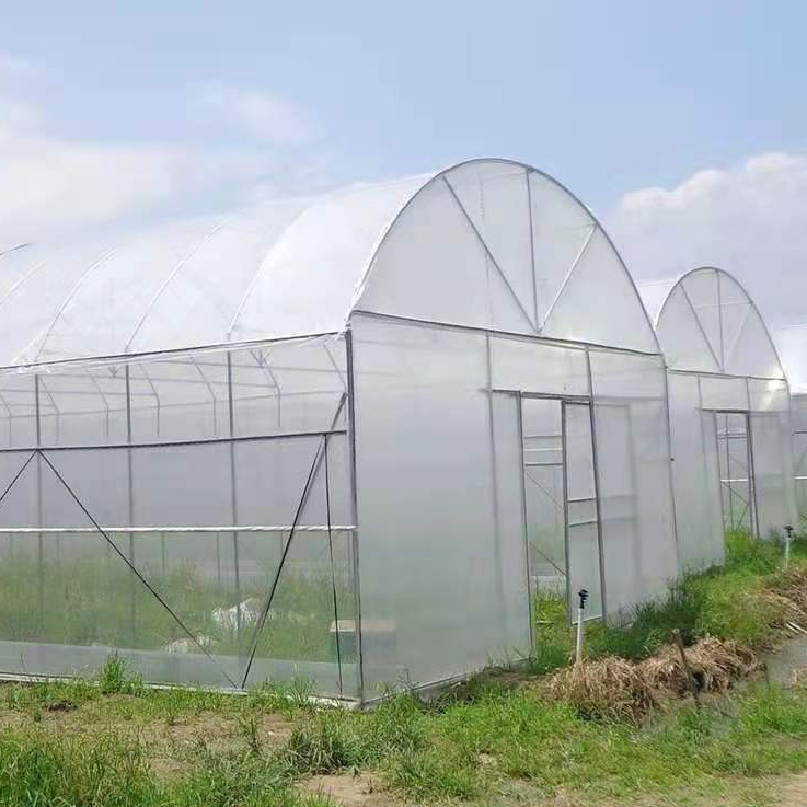 Commercial Greenhouses Serre Agricole Flower Pots Tunnel Occasion A Vendre For Sale