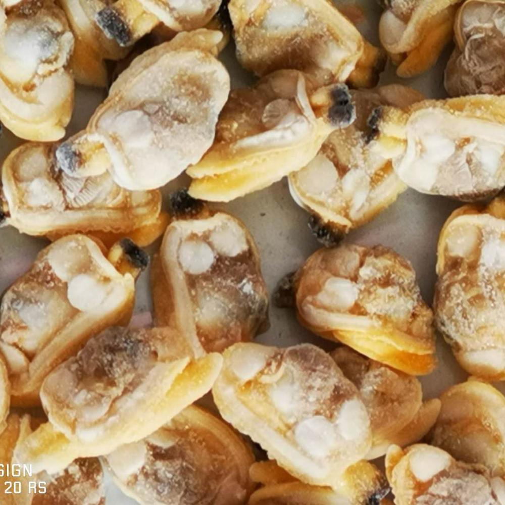 Оригинальные китайские морепродукты замороженные моллюски экспорт