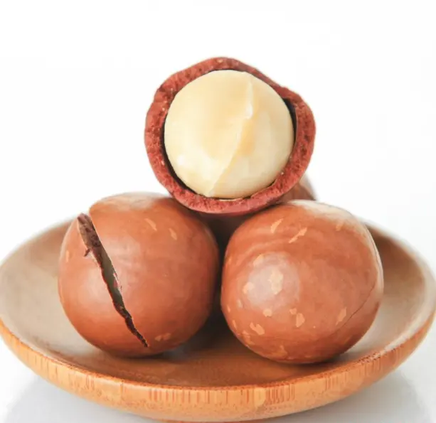 Macadamia nut baking wholesale sales