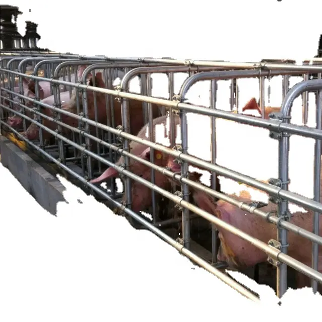 Высококачественное производство мяса, удобная свободная кровать для беременных, оцинкованные ящики для гребли, карандаш для свиней, напольное покрытие Farrowin