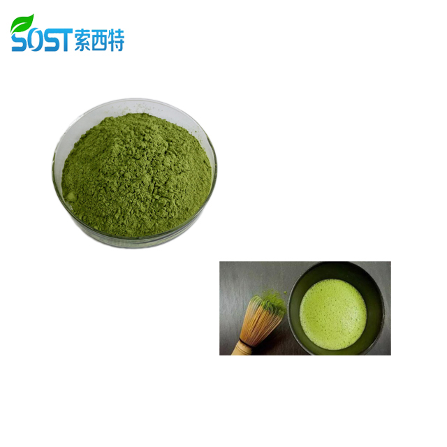 SOST Wholesale Organic Green Tea Ceremonial Matcha