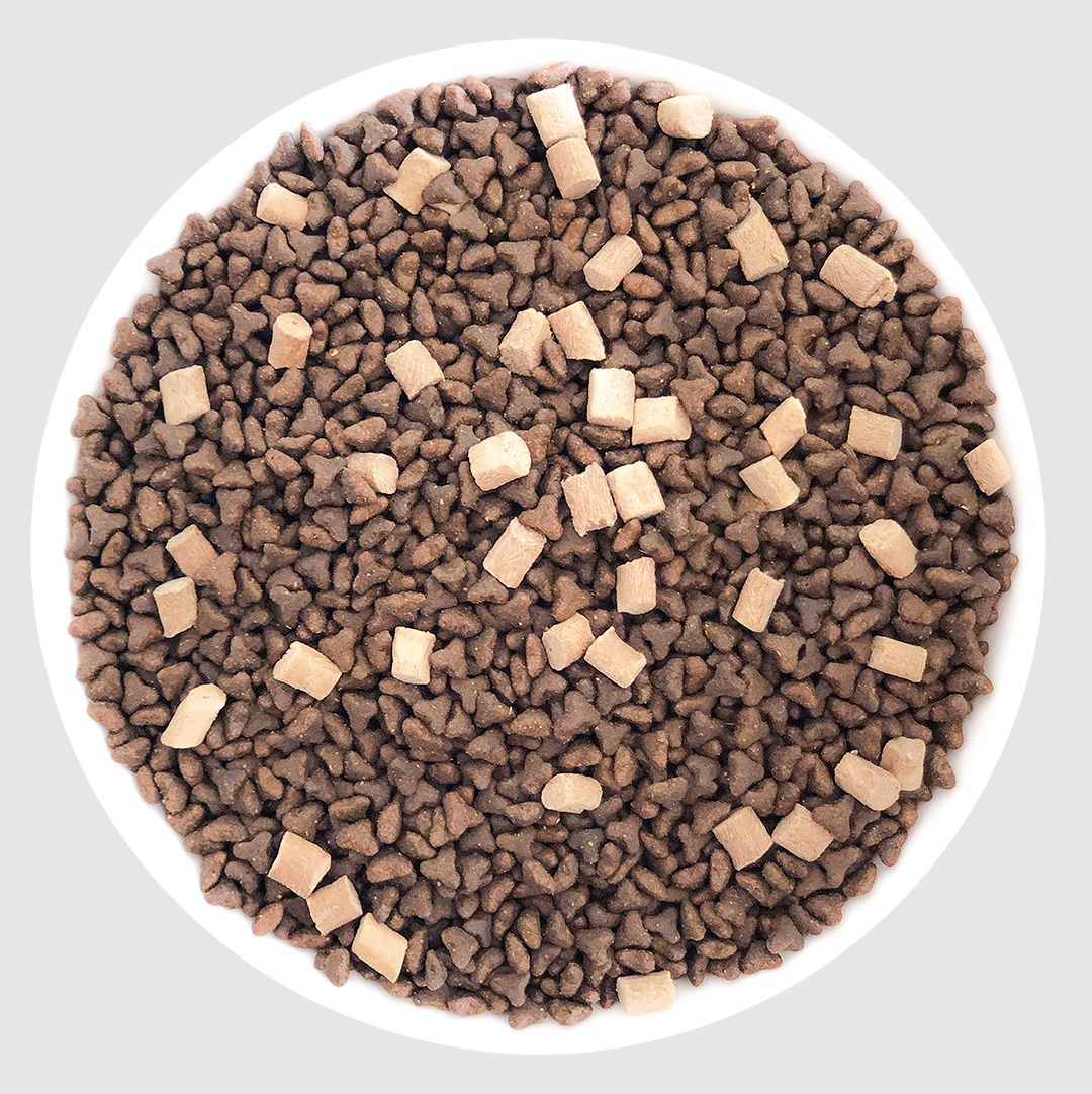Dog food factory dry food dog Healthy nutrition dog and cat food Wholesale