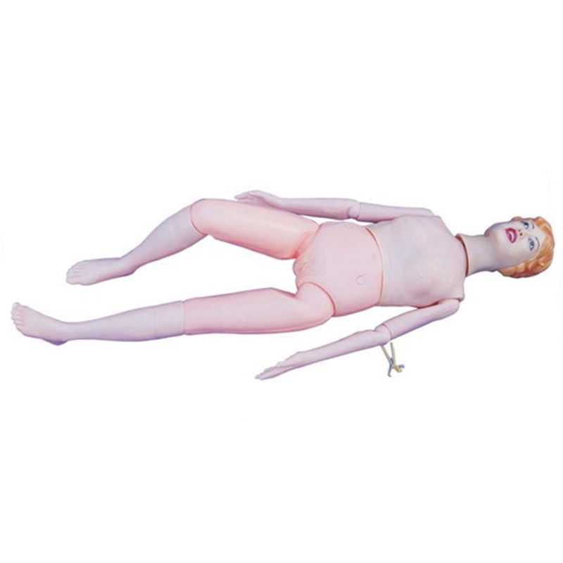 Medical Basic Nursing Training Manikin On Medical Science Subject For Medical Nursing Training