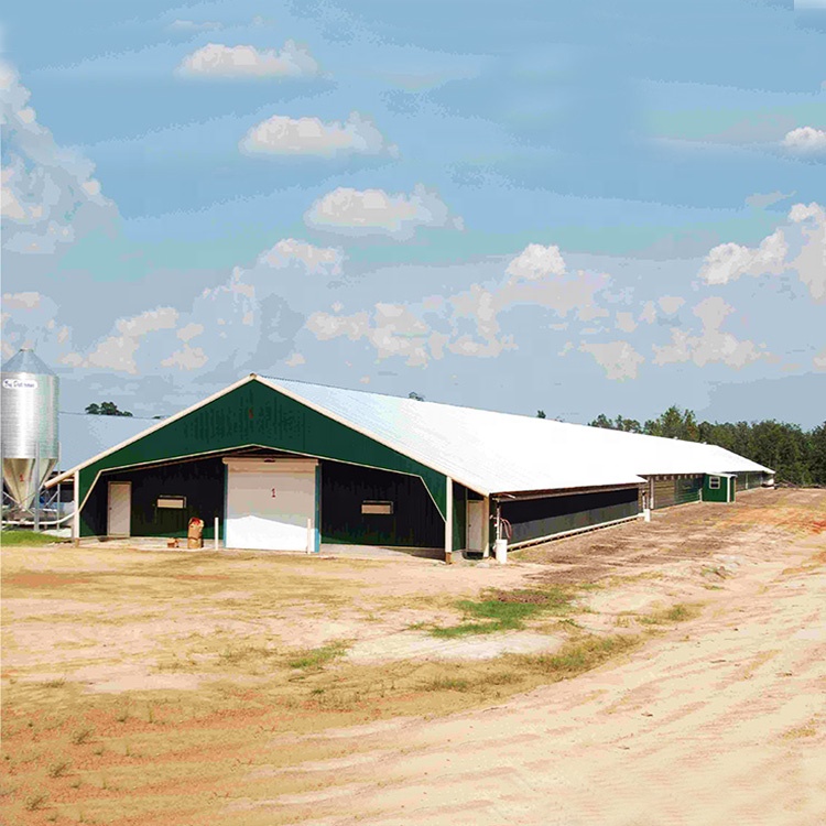 Qingdao RT Steel Structure Low Cost Prefabricated Steel Structure Poultry Chicken Farm