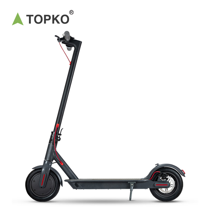 TOPKO New Style Folding Mini Scooter 2 Wheel 350W Adult Electric Scooter