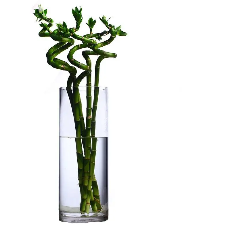 Cylinder Home Decoration Transparent Hydroponic Glass Flower Vase For Garden