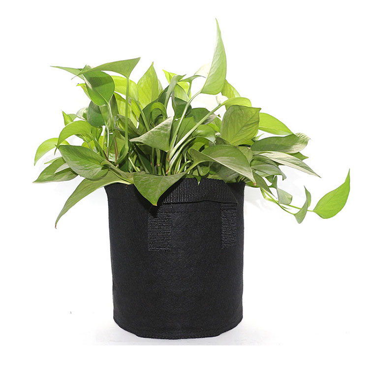 Very Nice Black Non-Woven Fabric Customized Wearable Nursery Plant Grow Bags for Vegetables/Flowers/Trees Planting