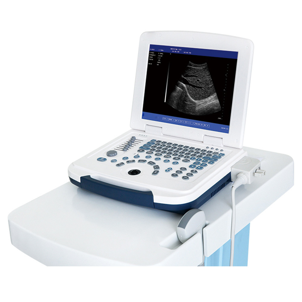 ultrasonic, optical, electronic equipment animal & Veterinary equipment ultrasound veterinary instrument animal products