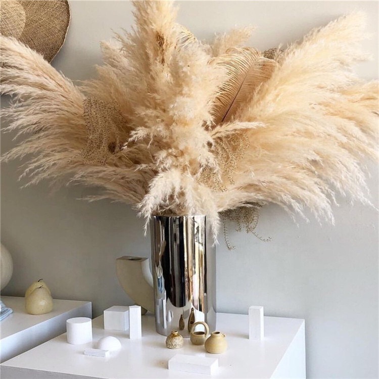E-3108 70-80cm Large Size Dried Flower Nature Pampas Grass for Wedding