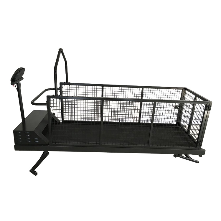 Dog Treadmill Walking Machine With Mesh Front And Rear Lifting Animal Large Dog Treadmill Pet