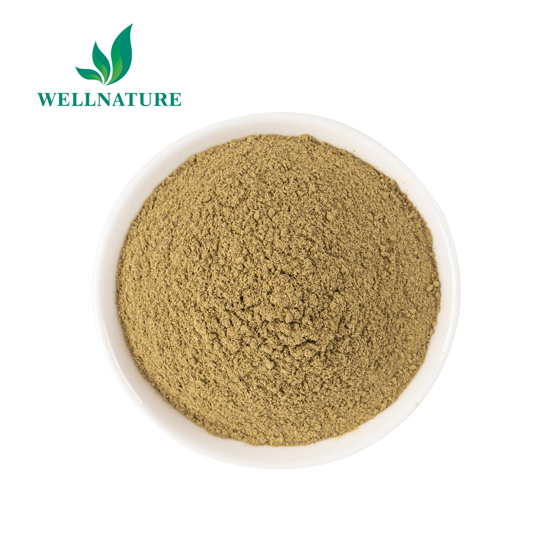 Bulk dried organic oregano leaf leaves herbs extract powder animal feed producer price
