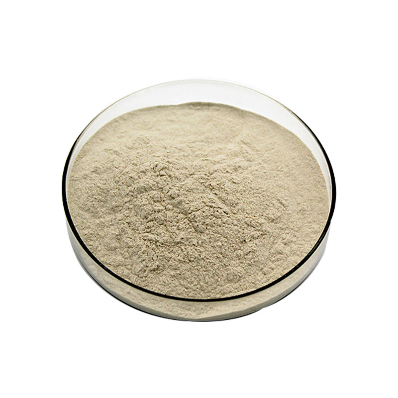 Заводская поставка пробиотиков Bacillus Licheniformis для аквакультуры