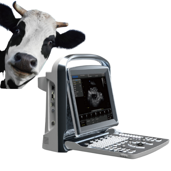 Chison Eco1 Vet Medical Ultrasound Instruments Ultra Sound Scanner for Big Small Animal Black and White Electric CE Guangdong