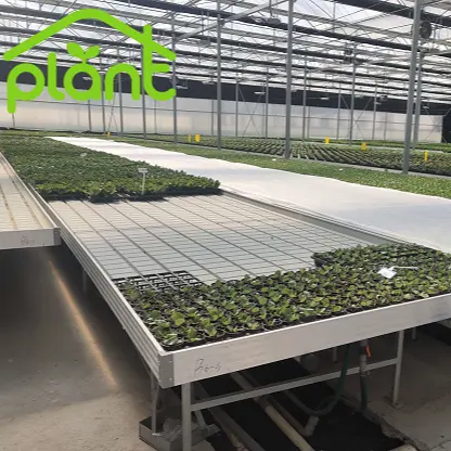 Factory Tide Table Hydroponic System Ebb And Flow Rolling Bench