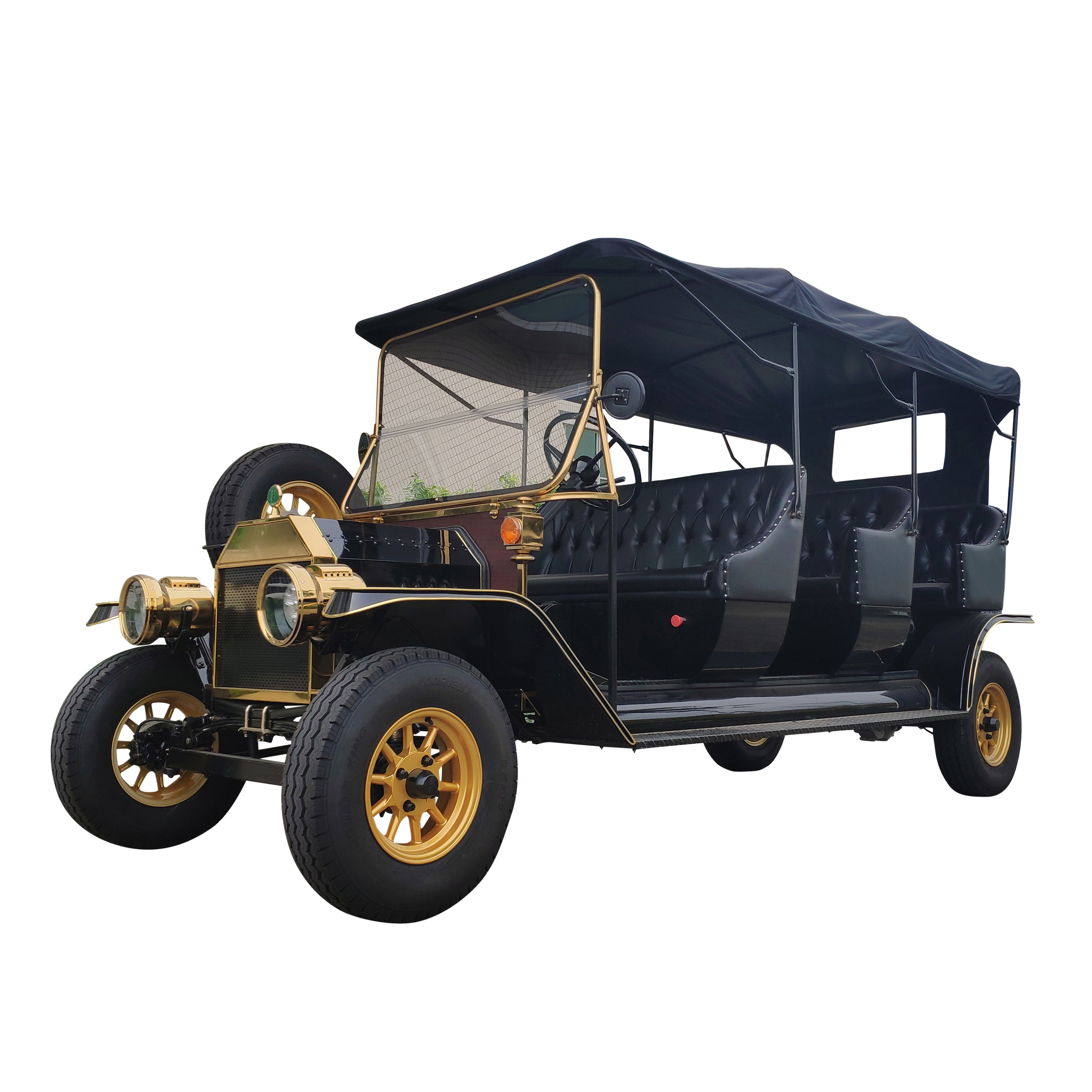 Уникальный электрический автомобиль для гольфа с аккумулятором RARIRO 5000W