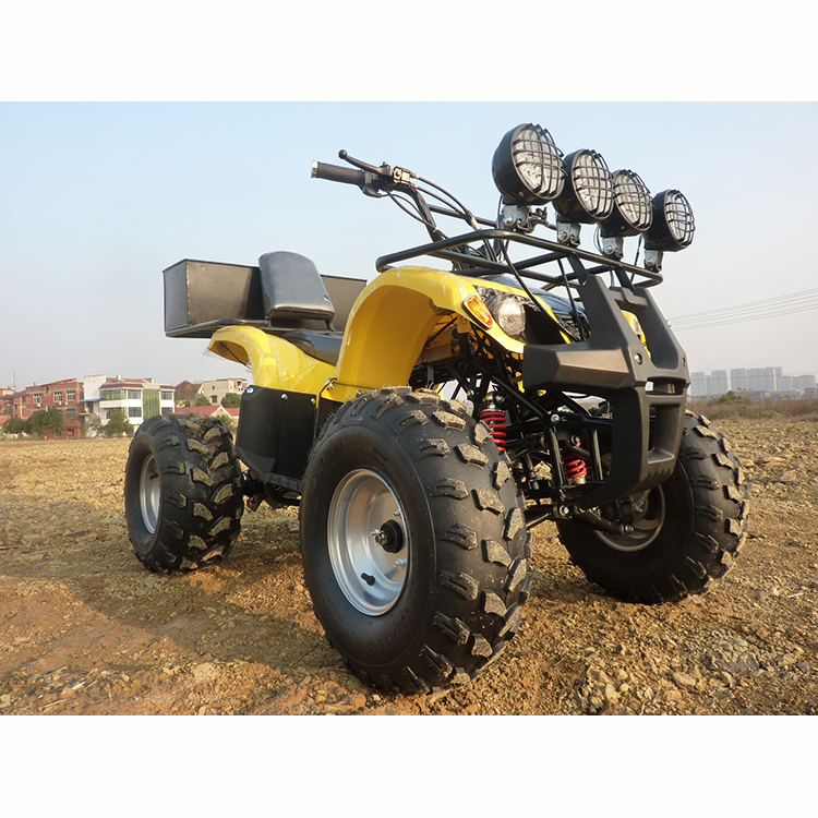 Лидер продаж, Стильная кепка с 750w 48v с приводным валом, электрический atv, 4 колеса Электрический квадроцикл