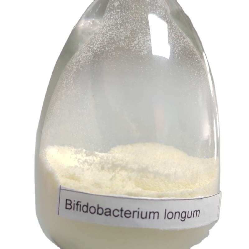 Bifidobacterium Longum Probiotic Powder Bifidobacterium Longum Probiotic Powder Freeze Dried Food Additive