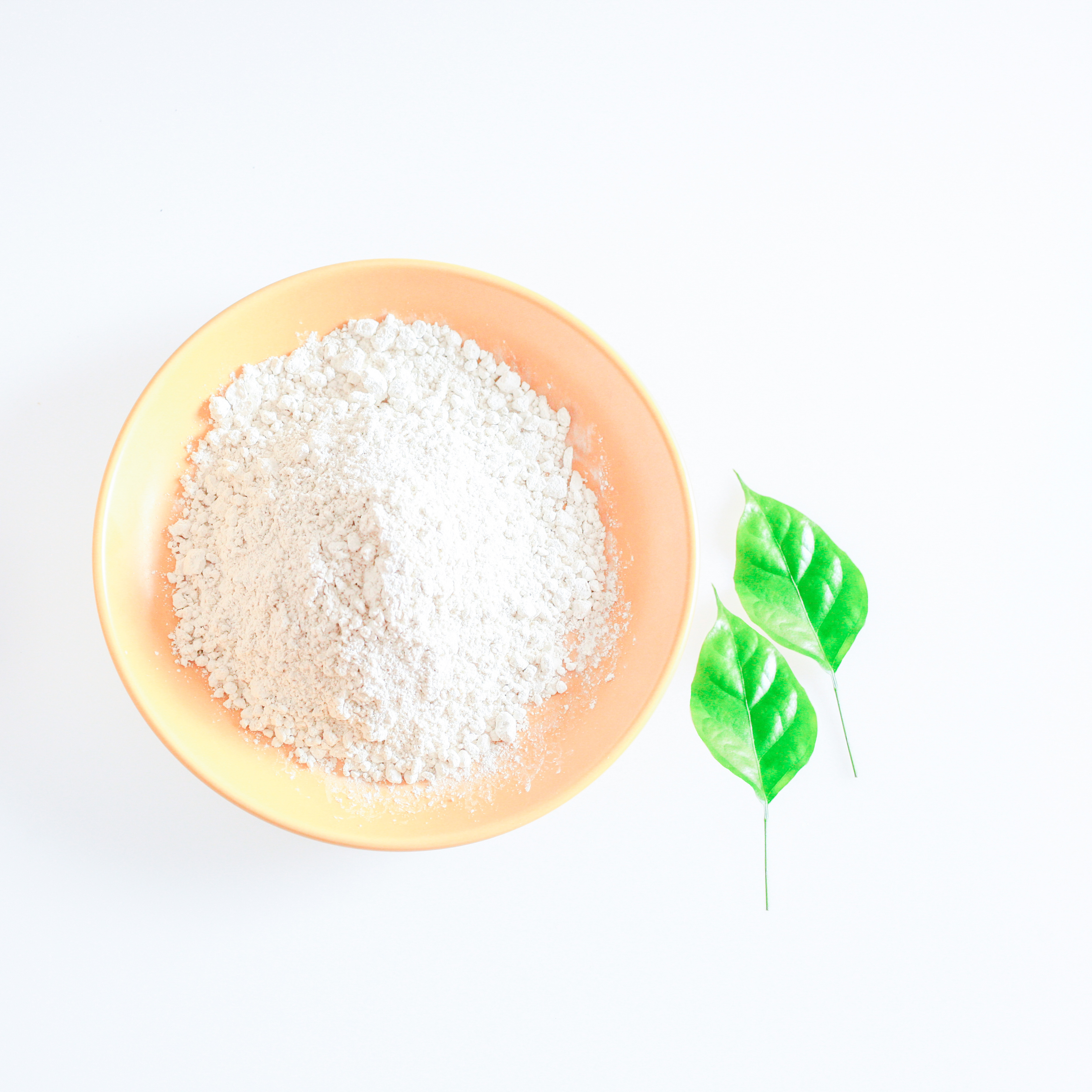 Gastrointestinal Health Probiotics Clostridium Butyricum Powder For Human Use