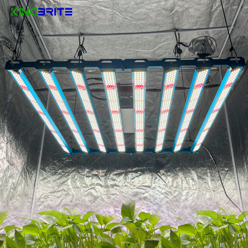 Kingbrite P55 king brite 650W/800W Bar Samsung LM301H EVO with 660nm UV IR Professional Led Grow Light
