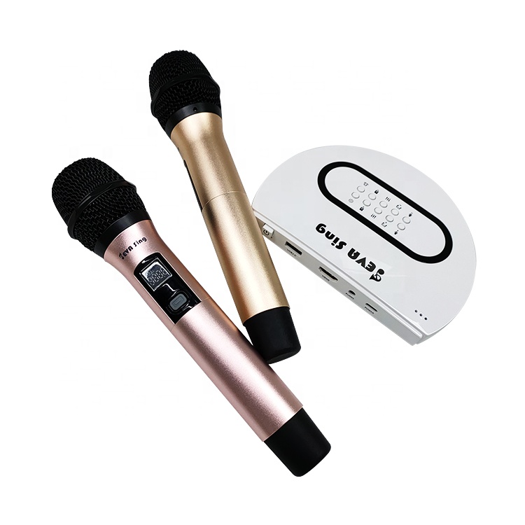 Professional Singing Wireless Microphone Family Karaoke Set