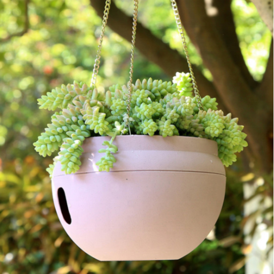 Wholesale Outdoor Large Planters Plant Basket Orchid Indoor Hanging Plastic Flower Pot