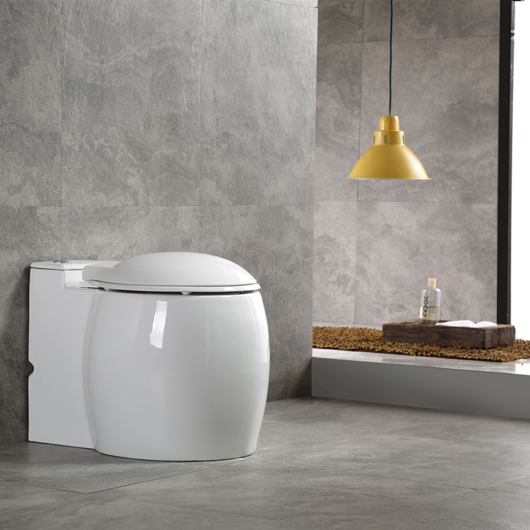 outlet hole S-trap 250mm washdown arab toilet wc bathroom daily using Pulse induction flush toilet