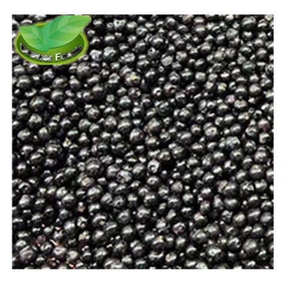 High quality IQF fresh frozen berries fresh frozen black currant best price frozen fruits black-currant